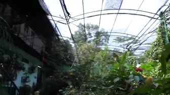 After walk in Indonesian park, babe jerks cameraguy's dick off till he cums on her feet in hotel room