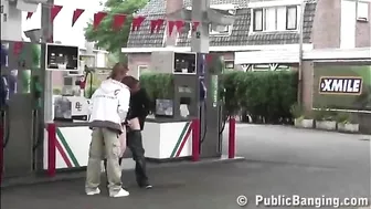 Gravid bitch gives two partners sexual pleasure in publiс