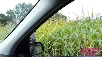 Blonde slut with sexy long haircut picked up and owned outdoors Blonde slut with sexy long haircut picked up and owned outdoors