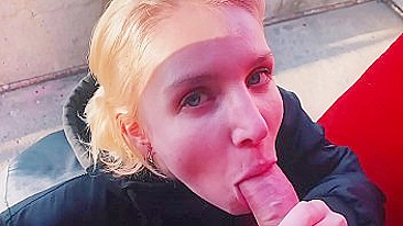 Young porn starlet always finds an opportunity to blow XXX shrimp
