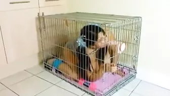 Slave girl as dog restrained in cage with shackles