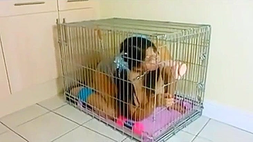 Slave girl as dog restrained in cage with shackles