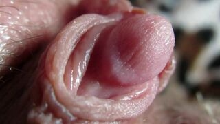 Big Clit Erection. Extreme close up on my wet clit head pulsating