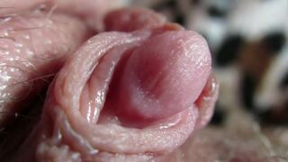 Big Clit Erection. Extreme close up on my wet clit head pulsating