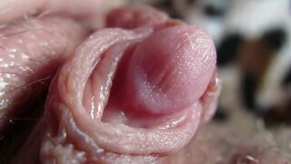 Big Clit Erection. Extreme close up on my wet clit head pulsating