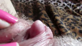 Big Clit Erection. Extreme close up on my wet clit head pulsating Big Clit Erection. Extreme close up on my wet clit head pulsating