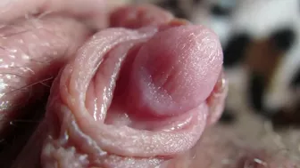 Big Clit Erection. Extreme close up on my wet clit head pulsating