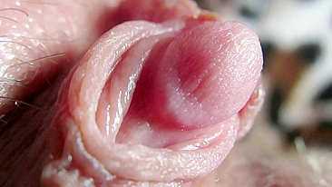 Big Clit Erection. Extreme close up on my wet clit head pulsating