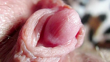 Big Clit Erection. Extreme close up on my wet clit head pulsating