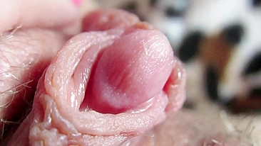 Big Clit Erection. Extreme close up on my wet clit head pulsating