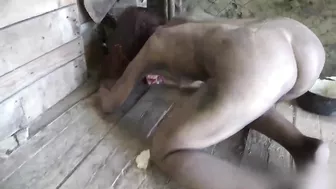 AREA51 PORN - Fuck wild beast in the hell