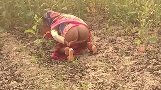 Indian lecher with camera follows desi Bhabhi to fuck in the field