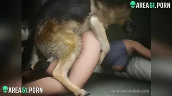 Porn animal rape 