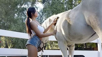 Whorish babe Autumn Falls demonstrates booty while fooling with horse Whorish babe Autumn Falls demonstrates booty while fooling with horse
