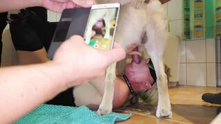 This whorish wife loves beastiality sex with own dog | AREA51.PORN