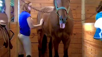 Xxnx Horse Fucking Woman