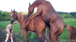 Horse shoots huge load XXX video on Area51.porn