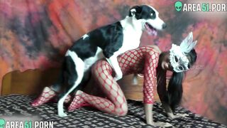 Indian Hot Sex Dog - Newcomer sexy indian girl experiences sex with a dog | AREA51.PORN
