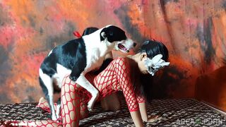 Dog India
