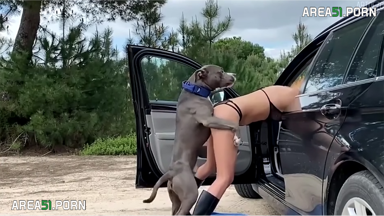 1280px x 720px - Wife is sitting doggy style in the car, and enjoying dog sex session |  AREA51.PORN
