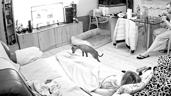 Hidden camera in living room guarantees wife gets caught masturbating Hidden camera in living room guarantees wife gets caught masturbating