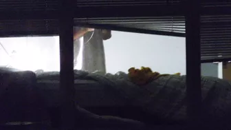 Sister gives desired pleasure to brother being caught masturbating