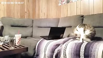 Wife is caught masturbating on camera even in her husband's absence Wife is caught masturbating on camera even in her husband's absence