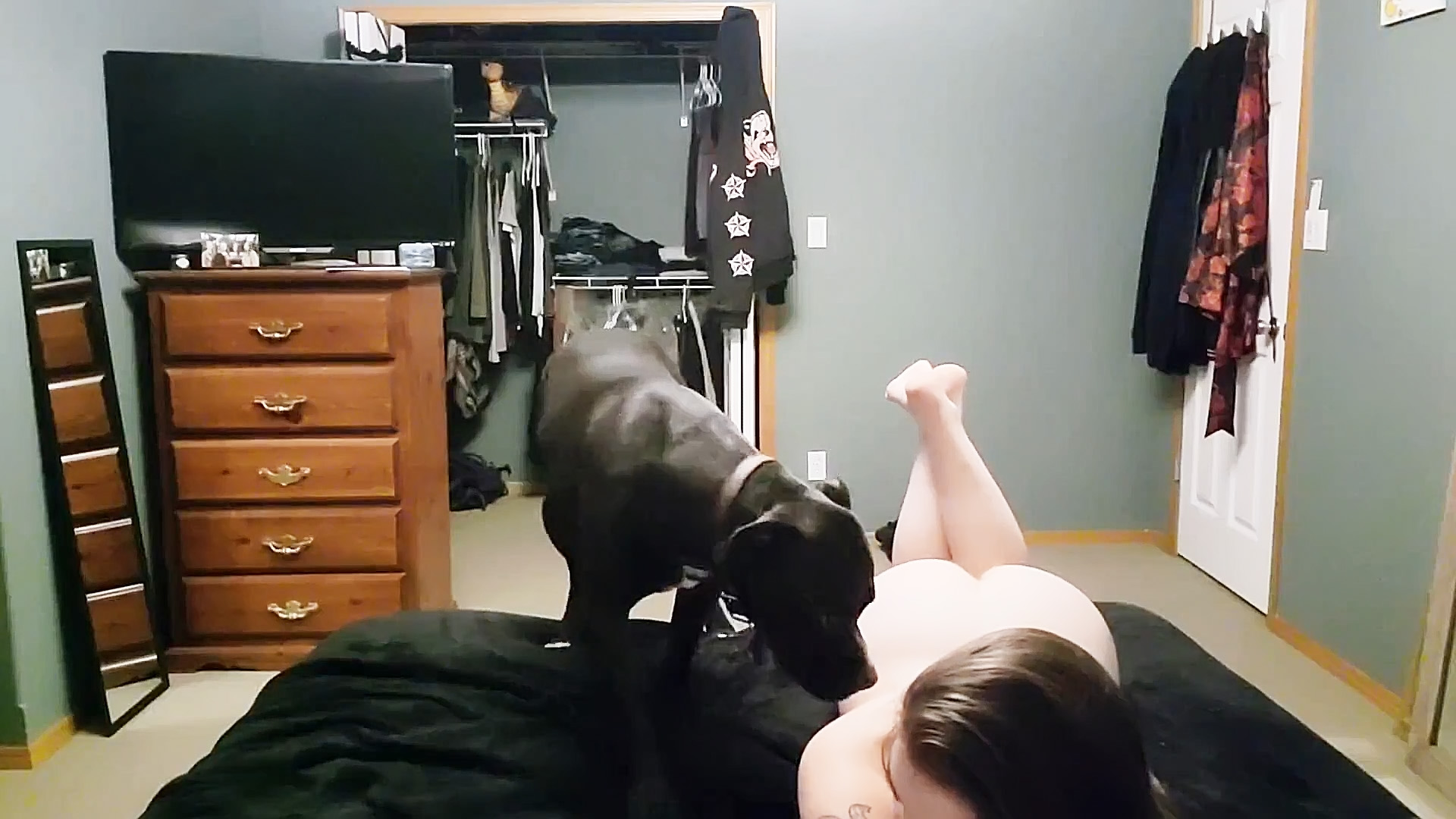 Full nude girl dancing with her dog for the hidden camera AREA51.PORN photo