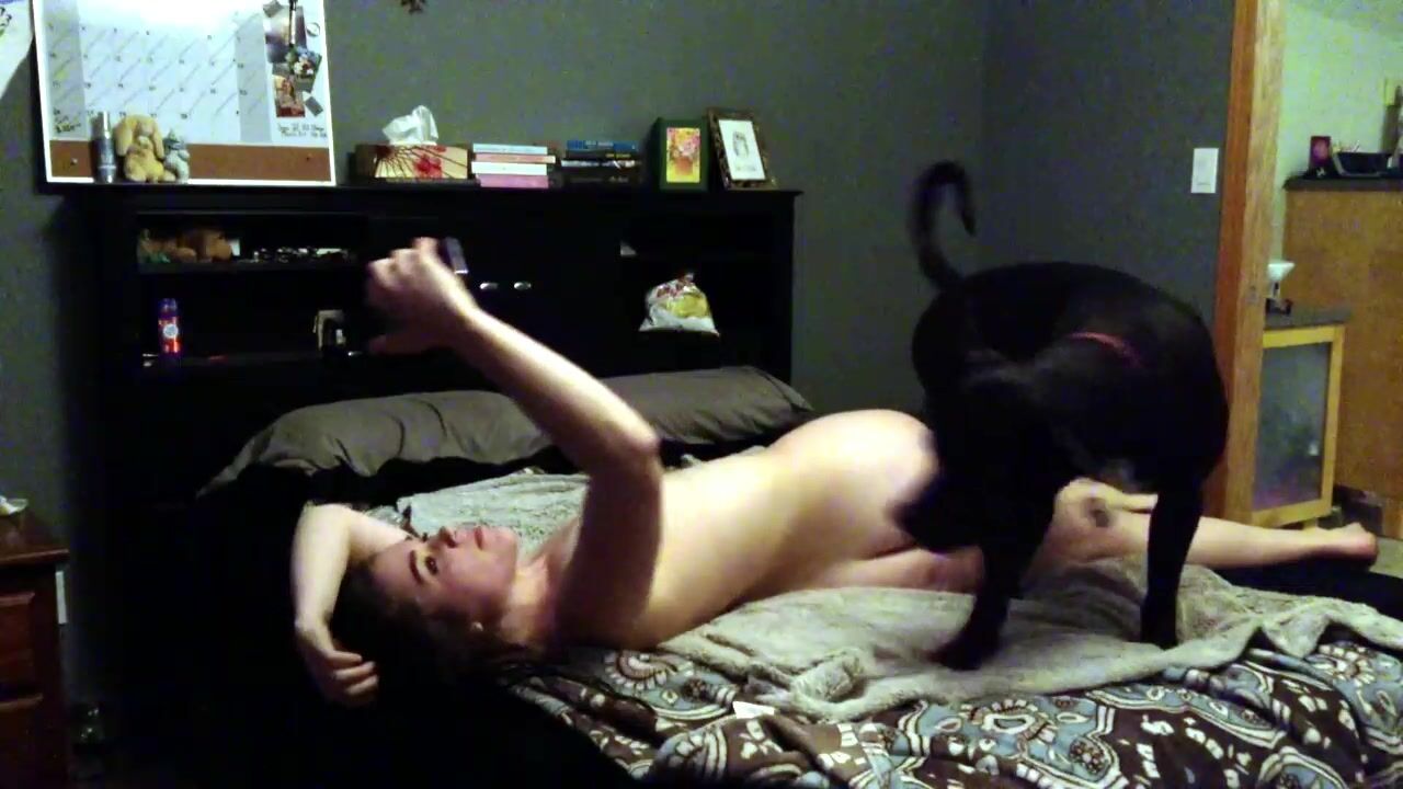 Dog webcam porn