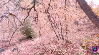 Wife with immense ass has anal XXX with hubby's bro in the woods