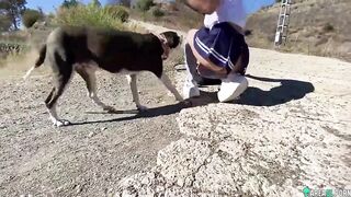 Hot schoolgirl and her dog, slut drinking her brother's pee XXX ...