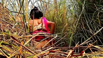 Views of Desi sister-in-law's in jungle, going viral in Indian porn sites