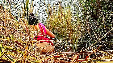Views of Desi sister-in-law's in jungle, going viral in Indian porn sites