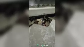 Indian kinner fucking man on the ruins and caught on cam