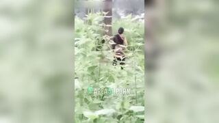 320px x 180px - Indian bitch masturbates to orgasm while standing in the jungle | AREA51. PORN