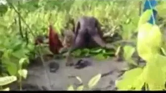 South indian hot cheating wife fuck with two local BF, and caught on cam