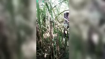 Male and Indian MILF manage to have sex before they are caught