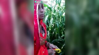 Indian aunty is going to masturbate in cornfield but she is caught