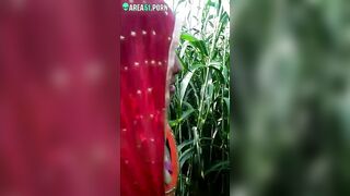 Indian aunty is going to masturbate in cornfield but she is caught