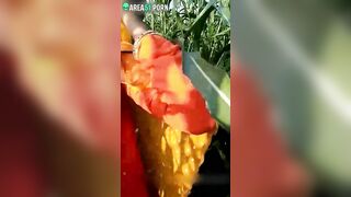 Indian aunty is going to masturbate in cornfield but she is caught