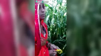 Indian aunty is going to masturbate in cornfield but she is caught