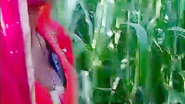 Indian aunty is going to masturbate in cornfield but she is caught