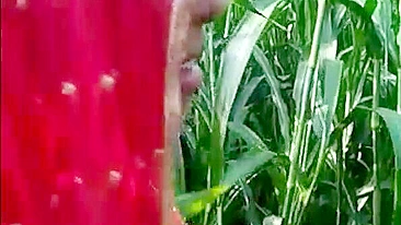Indian aunty is going to masturbate in cornfield but she is caught