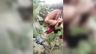 Cameraman films caught Indian friend energetically fucking slut outdoors