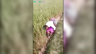 Naturalist looks for animals and Indian lovers are caught by him