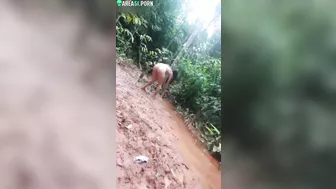 Amateur caught video where Indian guy fucks girlfriend from behind