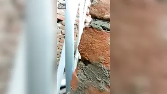 Man fucks Indian slut by brick wall and stops when they are caught