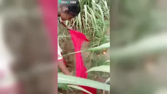 Horny Indian lovers hide in grass to have sex and film caught video Horny Indian lovers hide in grass to have sex and film caught video