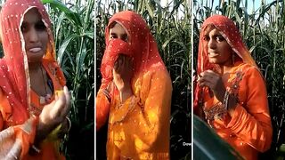 Caught video where Indian aunty is going to masturbate in cornfield