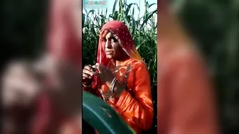Caught video where Indian aunty is going to masturbate in cornfield